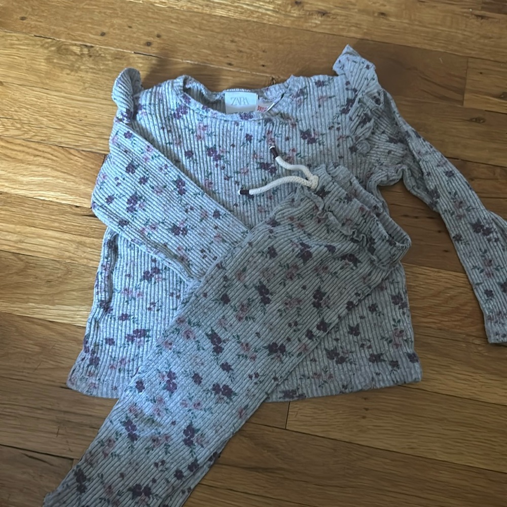 Soft grey and plum floral 2 piece set Zara